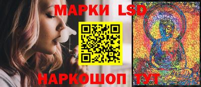 крисы Славгород