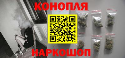крисы Славгород