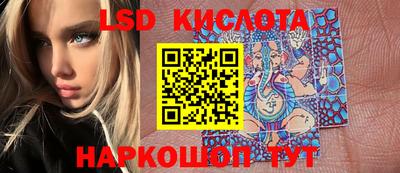 крисы Славгород