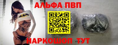 крисы Славгород