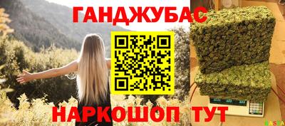 крисы Славгород