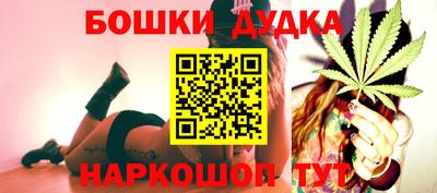крисы Славгород