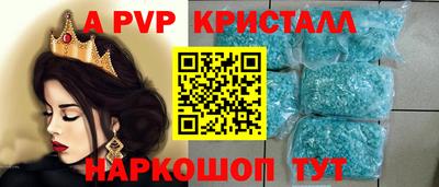 крисы Славгород