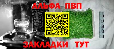 крисы Славгород