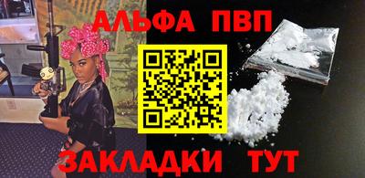 крисы Славгород