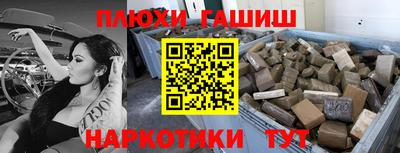 крисы Славгород
